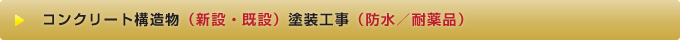コンクリート構造物(新設・既設）塗装工事（防水、耐薬品）